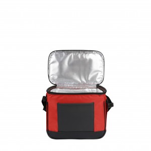 Термосумка Discover Coolerbag S