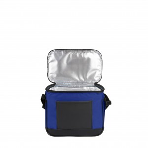 Термосумка Discover Coolerbag S