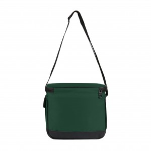 Термосумка Discover Coolerbag S