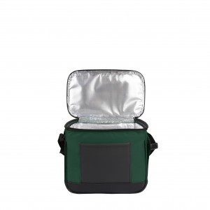 Термосумка Discover Coolerbag S