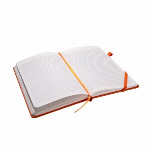 Блокнот Berganote Hard А5, в клітинку