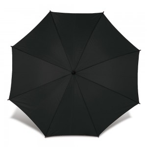 Зонт-трость-954070